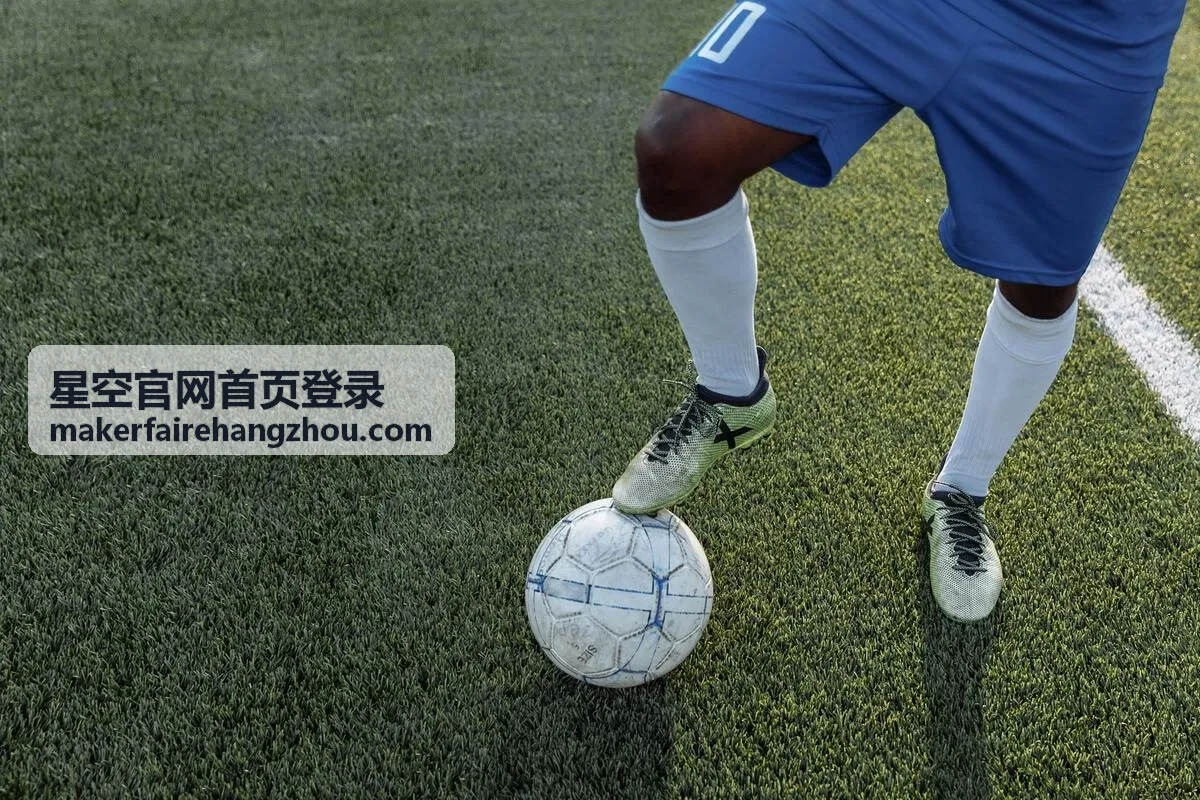 星空官网首页登录活动现场咨询与出口通道