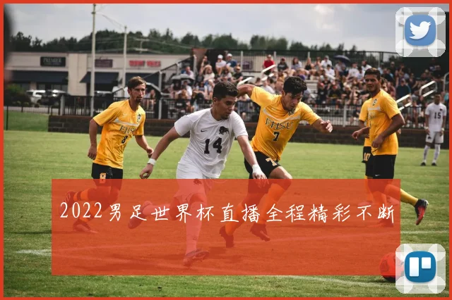 2022男足世界杯直播全程精彩不断