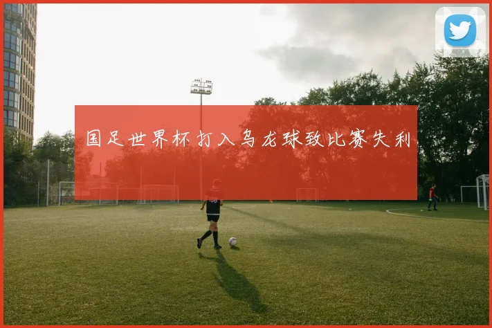 国足世界杯打入乌龙球致比赛失利