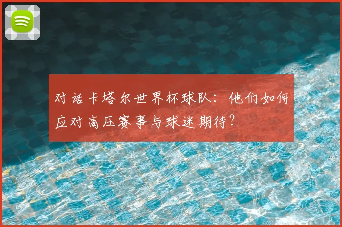 对话卡塔尔世界杯球队:他们如何应对高压赛事与球迷期待?
