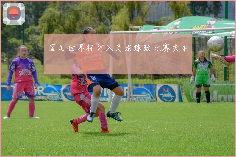 国足世界杯打入乌龙球致比赛失利
