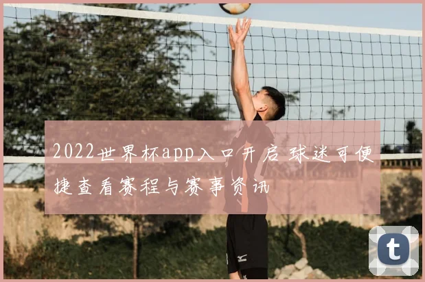 2022世界杯app入口开启 球迷可便捷查看赛程与赛事资讯