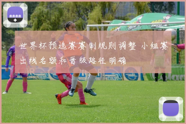世界杯预选赛赛制规则调整 小组赛出线名额和晋级路径明确