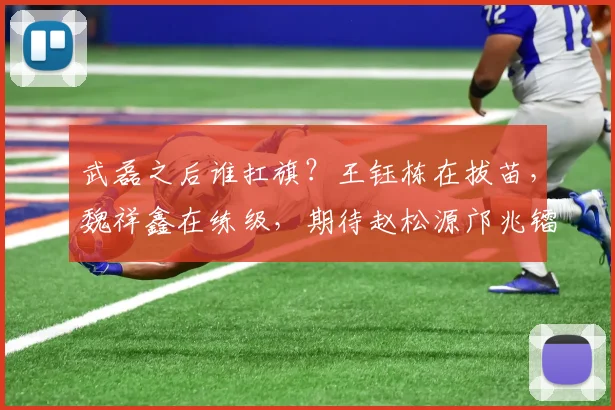 武磊之后谁扛旗？王钰栋在拔苗，魏祥鑫在练级，期待赵松源邝兆镭