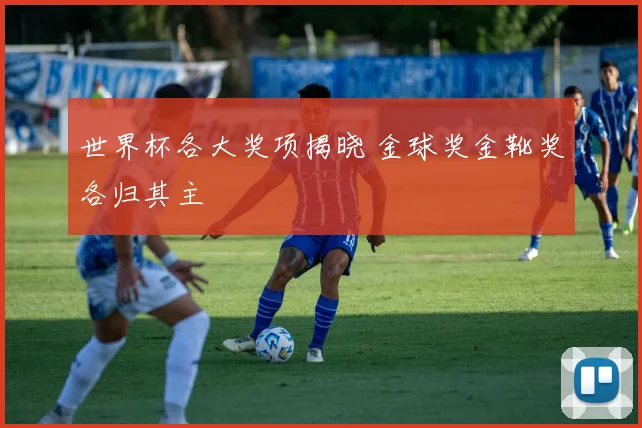 世界杯各大奖项揭晓 金球奖金靴奖各归其主