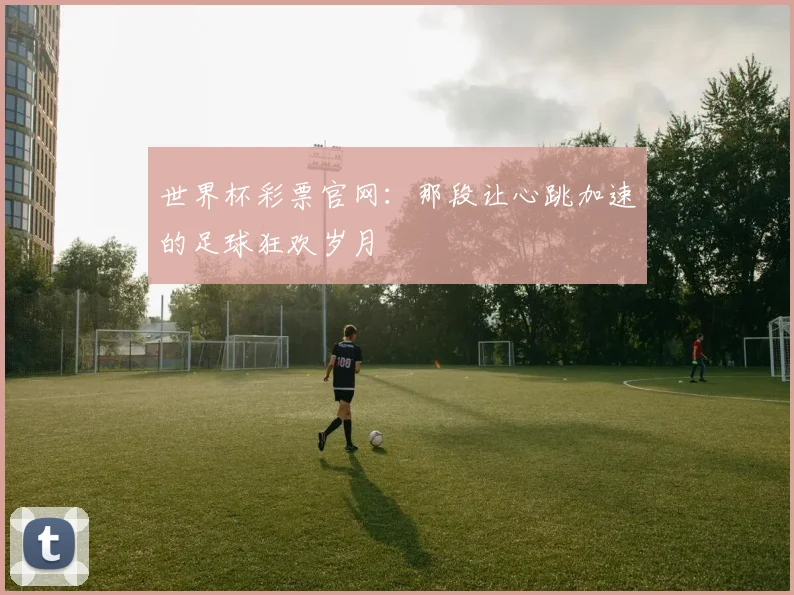 世界杯彩票官网：那段让心跳加速的足球狂欢岁月