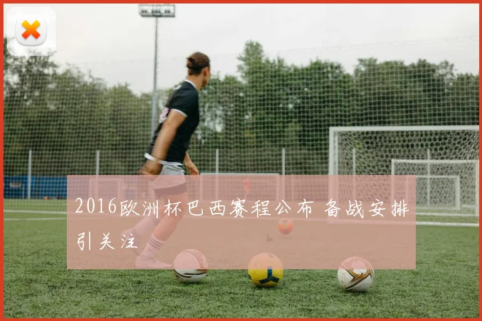 2016欧洲杯巴西赛程公布 备战安排引关注